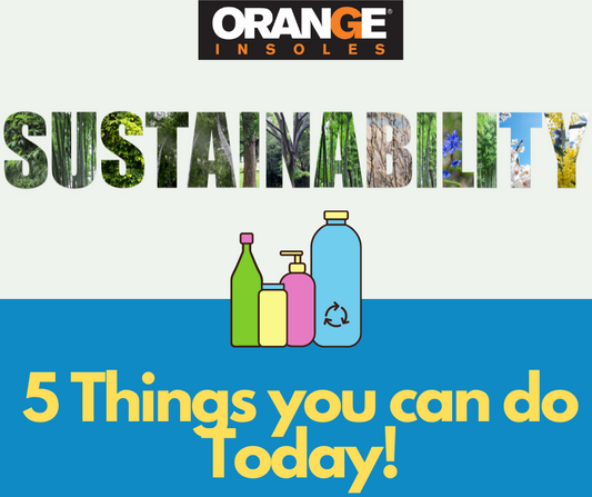 Sustainability: 5 Things You Can Do Today