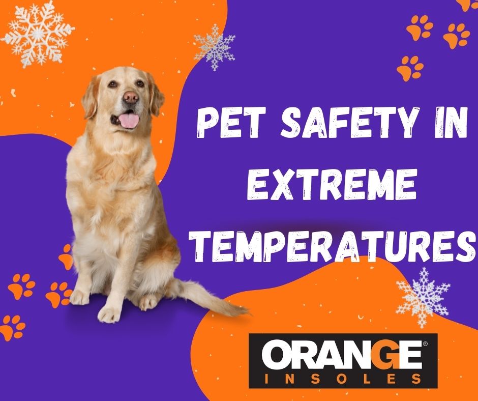 Pet Safety in Extreme Temperatures
